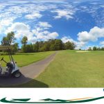 green grass with the flag in the hole.