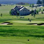 green grass with the flag in the hole.