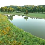 Panoramic view of a lush green golf course at Kingswood Golf Course. Smooth