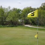 green grass with the flag in the hole.