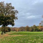 Panoramic view of a lush green golf course at Kissena Park Golf Course. Smooth