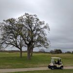 green grass with the flag in the hole.