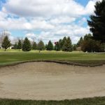 green grass with the flag in the hole.