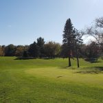 green grass with the flag in the hole.