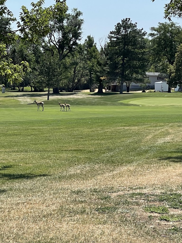 Panoramic view of a lush green golf course at Lake Hills Golf Course. Smooth