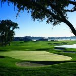 green grass with the flag in the hole.