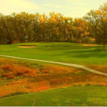 green grass with the flag in the hole.