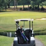 green grass with the flag in the hole.
