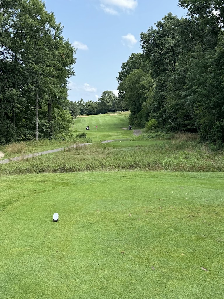 Panoramic view of a lush green golf course at Lake Michigan Hills Golf Club. Smooth