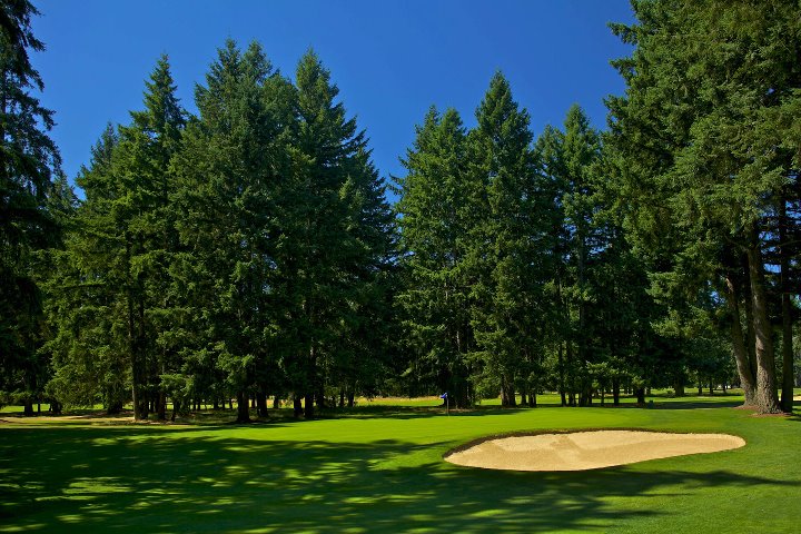 Panoramic view of a lush green golf course at Lake Spanaway Golf Course. Smooth