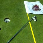 green grass with the flag in the hole.