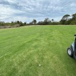 green grass with the flag in the hole.