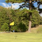 green grass with the flag in the hole.