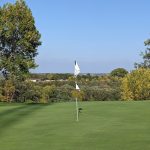 green grass with the flag in the hole.