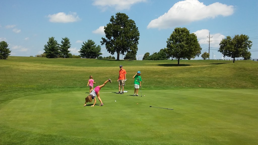 Panoramic view of a lush green golf course at Lakeview Springs Golf. Smooth