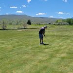 green grass with the flag in the hole.