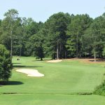 green grass with the flag in the hole.