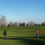 green grass with the flag in the hole.