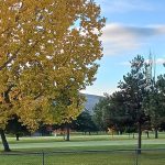 Panoramic view of a lush green golf course at Larchmont Golf Course. Smooth