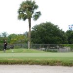 green grass with the flag in the hole.