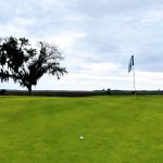 green grass with the flag in the hole.