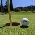 green grass with the flag in the hole.
