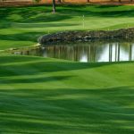 green grass with the flag in the hole.