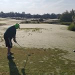 green grass with the flag in the hole.