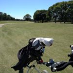 green grass with the flag in the hole.