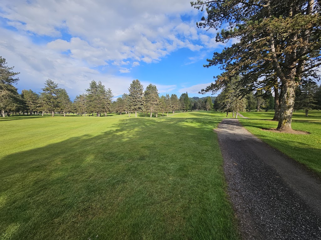 Panoramic view of a lush green golf course at Lewis River Golf Course. Smooth