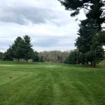 green grass with the flag in the hole.