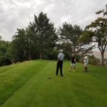 green grass with the flag in the hole.