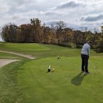 green grass with the flag in the hole.