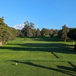 green grass with the flag in the hole.