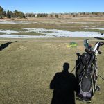 green grass with the flag in the hole.