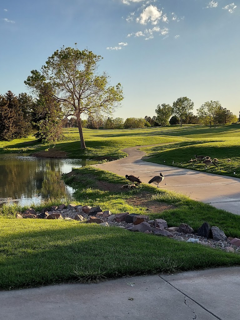 Panoramic view of a lush green golf course at Links Golf Course. Smooth