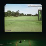 green grass with the flag in the hole.