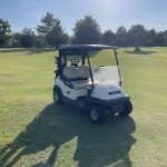 green grass with the flag in the hole.