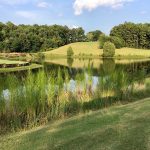 Panoramic view of a lush green golf course at Linrick Golf Course. Smooth