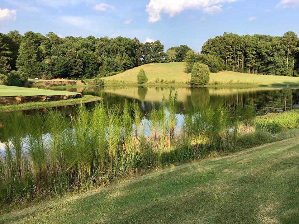 Panoramic view of a lush green golf course at Linrick Golf Course. Smooth