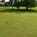 green grass with the flag in the hole.