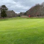 green grass with the flag in the hole.