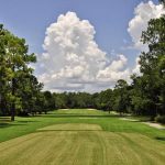 green grass with the flag in the hole.