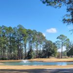 Panoramic view of a lush green golf course at Little Ocmulgee Wallace Adams Golf Course. Smooth