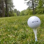 green grass with the flag in the hole.
