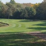 green grass with the flag in the hole.
