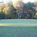 green grass with the flag in the hole.