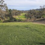 green grass with the flag in the hole.