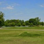 green grass with the flag in the hole.