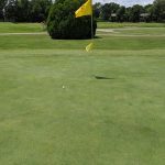 green grass with the flag in the hole.